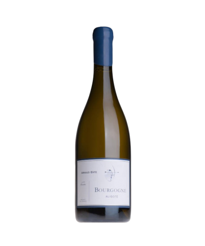 Burgundy Aligoté - 2017 - Domaine Arnaud Ente