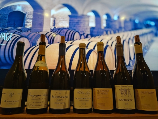 Balade en Bourgogne, entre Aligoté et Chardonnay 
